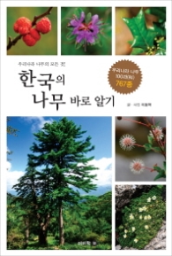 한국의 나무 바로 알기 - 우리나라 나무의 모든 것
